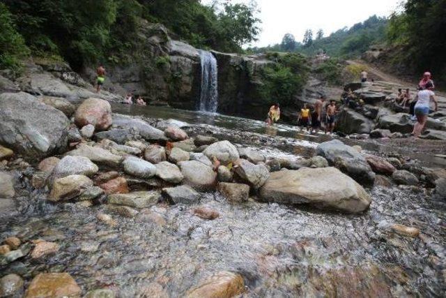 Sıcaktan Bunalanlar, Ordu'nun Derelerine Akın Etti