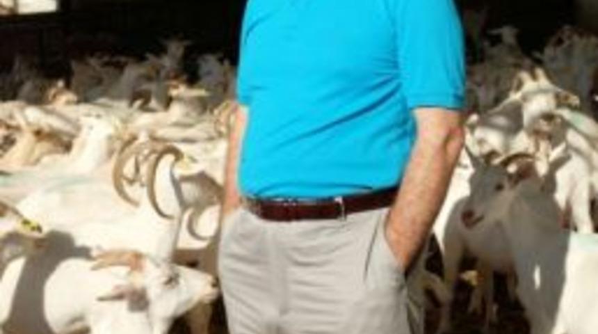 Kırmızı Ette Y&uuml;kselen Değer Oğlak Ve Ke&ccedil;i Eti