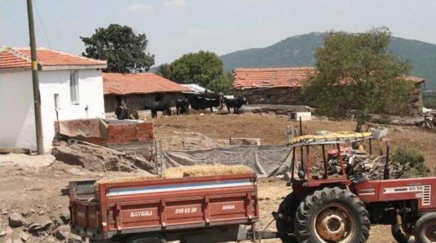 Edirne&rsquo;De &lsquo;Şarbon&rsquo; Karantinası