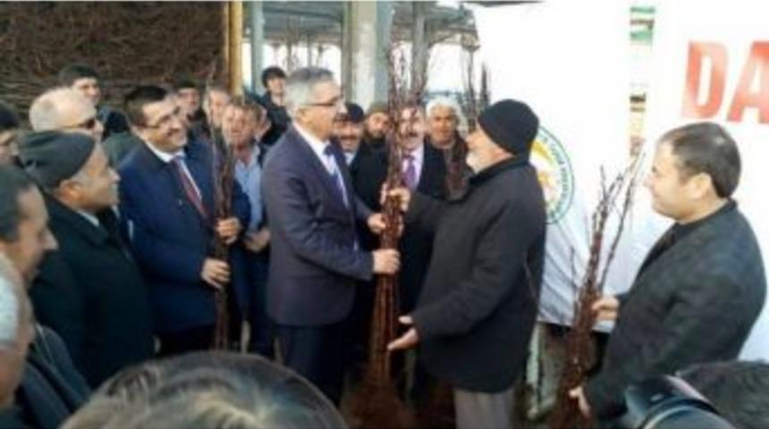 &ldquo;bir Karış Toprak Boş Kalmasın&rdquo; Projesinde Başarılı Sonu&ccedil;lar Alındı