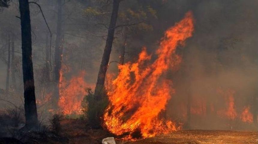 K&ouml;yceğiz&rsquo;de Orman Yangını