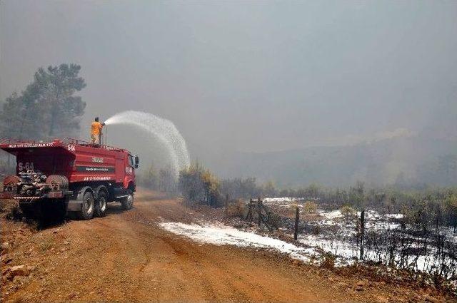 K&ouml;yceğiz&rsquo;de Orman Yangını 1