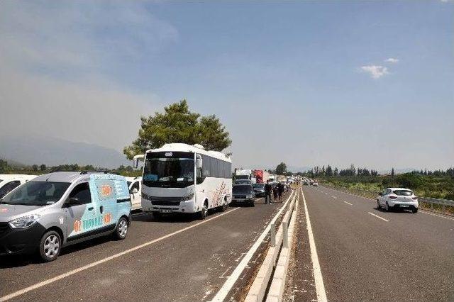 K&ouml;yceğiz&rsquo;de Orman Yangını 2