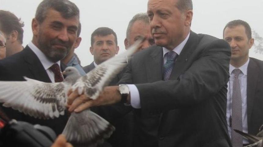 Cumhurbaşkanı Erdoğan Rize&rsquo;de H&uuml;k&uuml;met Kurma &Ccedil;alışmalarını Değerlendirdi