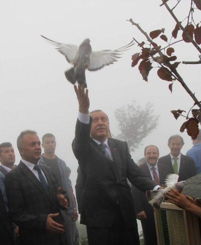 Cumhurbaşkanı Erdoğan Rize’de Hükümet Kurma Çalışmalarını Değerlendirdi