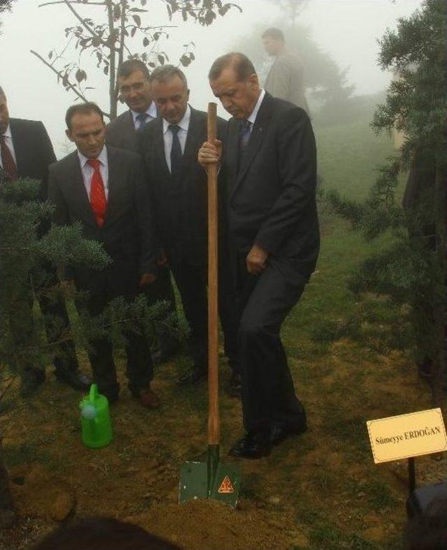 Cumhurbaşkanı Erdoğan Rize’de Hükümet Kurma Çalışmalarını Değerlendirdi