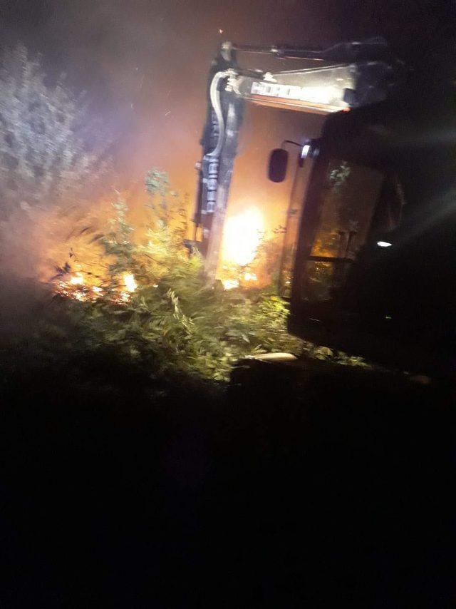 Karamürsel'de orman yangını