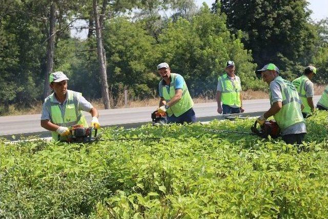 Büyükşehir’den Çevre Yolunda Refüj Temizliği 1