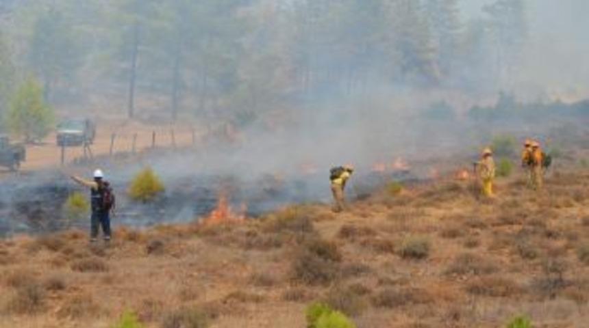 K&ouml;yceğiz&rsquo;deki Orman Yangını Kontrol Altına Alındı