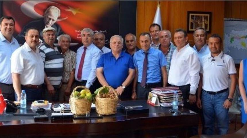 Sezonun İlk Kuru İnciri Sembolik Olarak Satışa Sunuldu