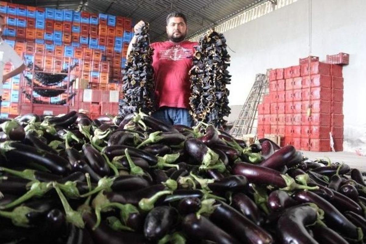 Aydın&rsquo;da Oyuluyor, D&uuml;nyayı Doyuruyor