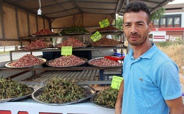 Antep Fıstığının Fiyatı Esnafa Fiyat Afişini Kaldırttı