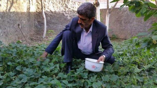 Ev Ve Iş Yerini &Ccedil;i&ccedil;eklerle Donattı 3