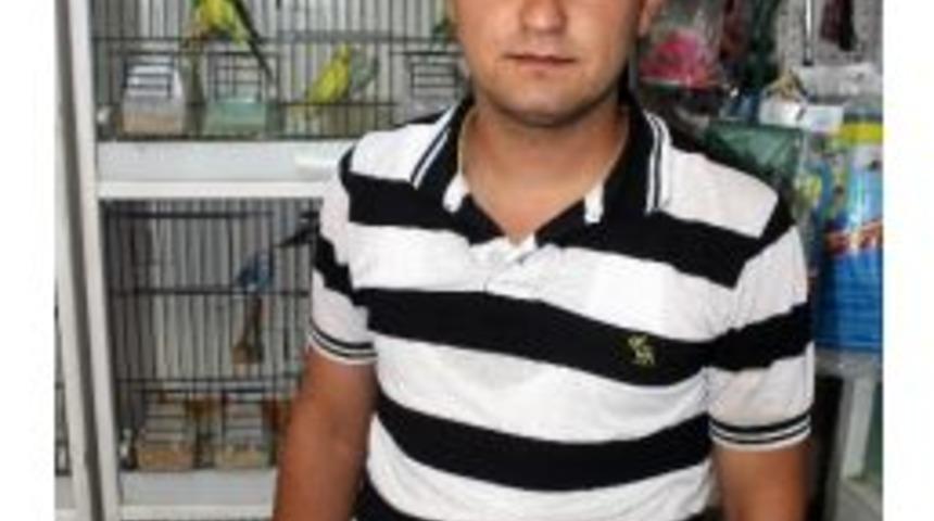 "sıcak Havalarda Evcil Hayvanları Serinletin"