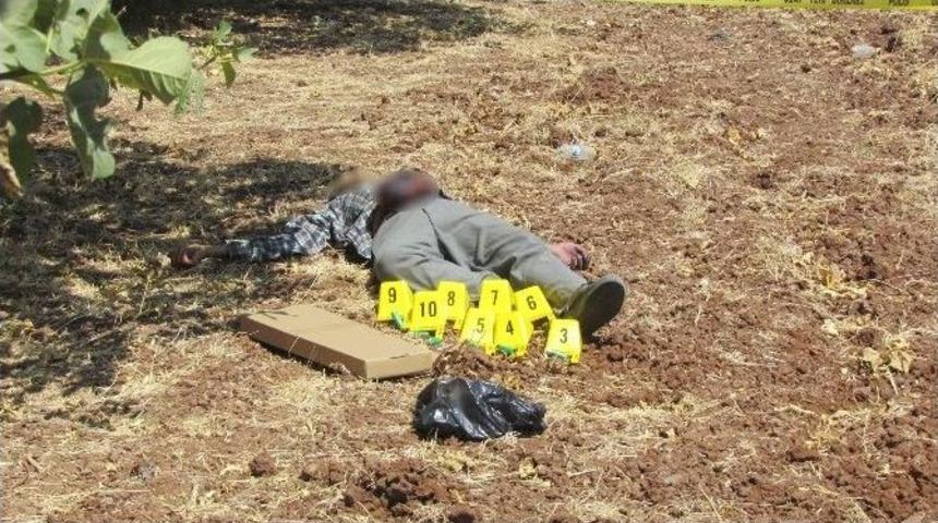 Tarlada Erkek Cesedi Bulundu