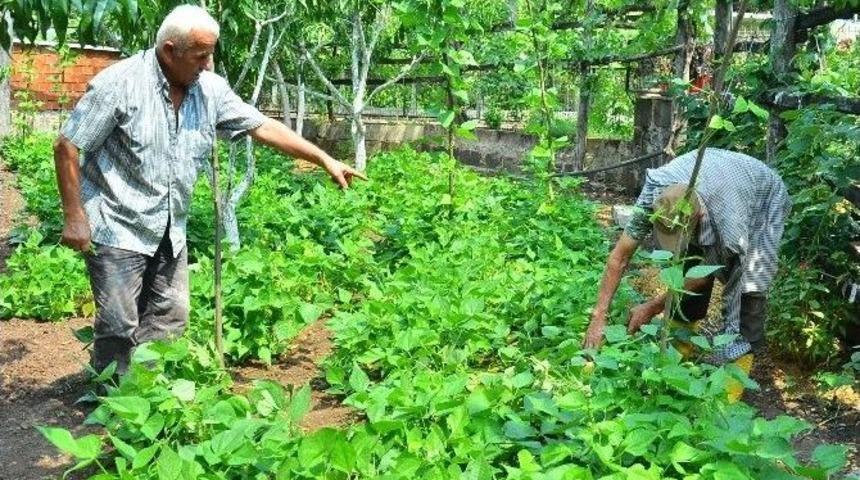 Marmara Depreminin 16. Yılında Acılar Hala Taze