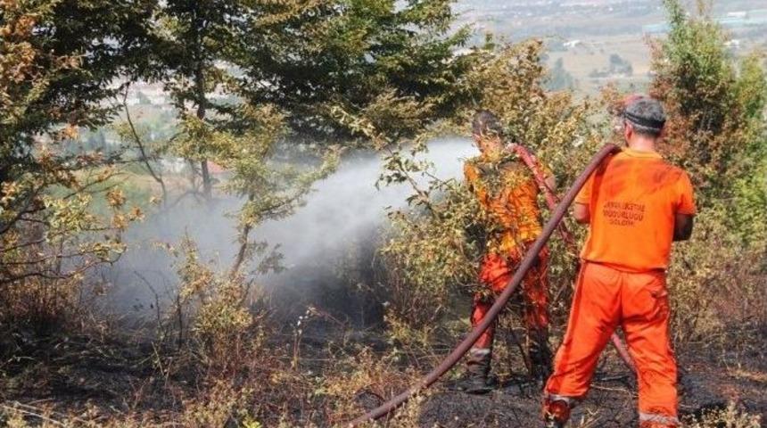 Kocaeli&rsquo;de Orman Yangını