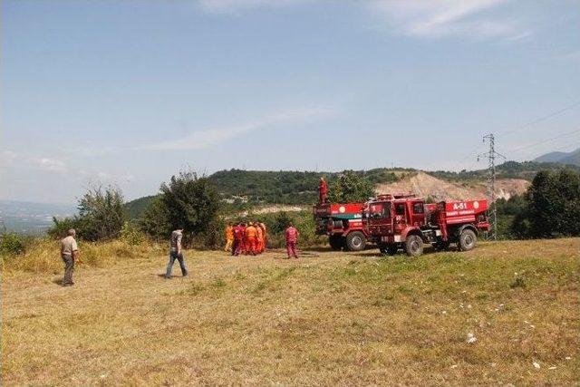 Kocaeli’de Orman Yangını