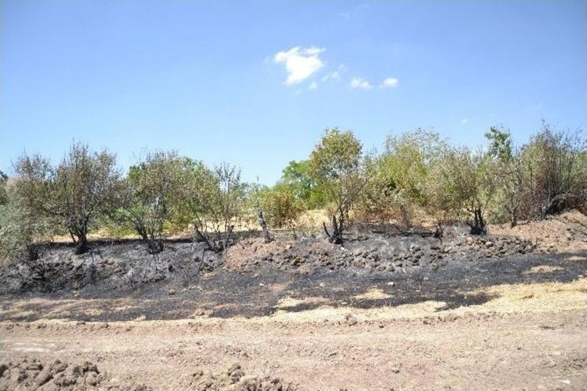 Tunceli&rsquo;de 6 Ayrı Yangın