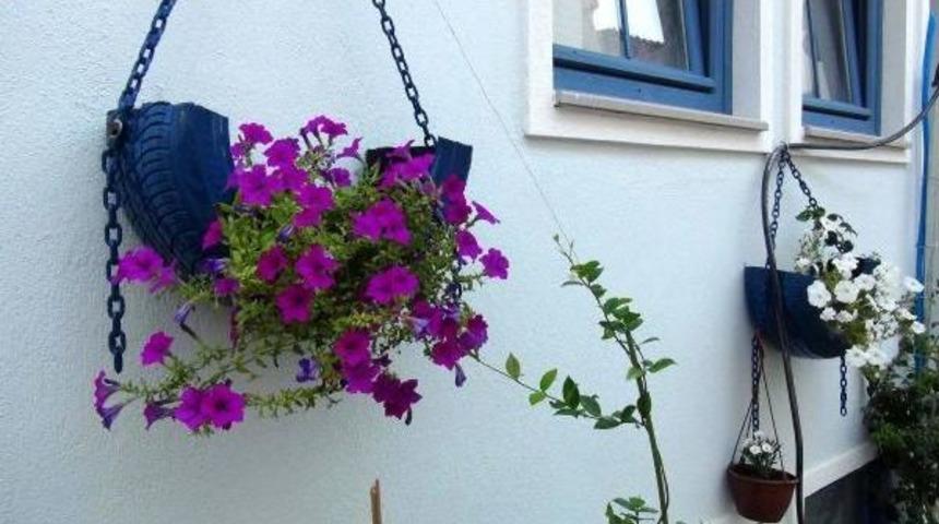 Bozcaada Sokaklarında Ilgin&ccedil; Saksılar