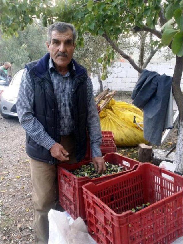 Yırca'nın En Mağduru, Mustafa Sezer'e Müjde