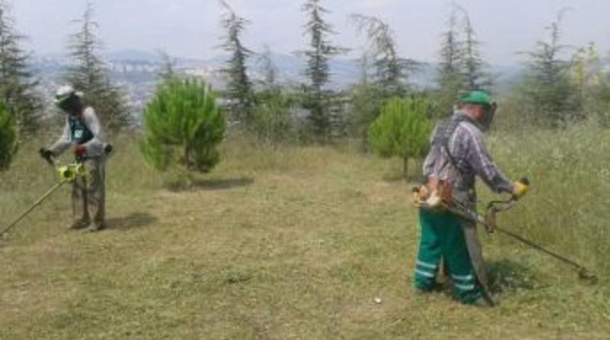 İzmit&rsquo;in Her Yerinde Tırpan &Ccedil;alışması Var