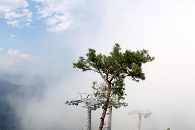 Antalya Nem Içinde Kayboldu