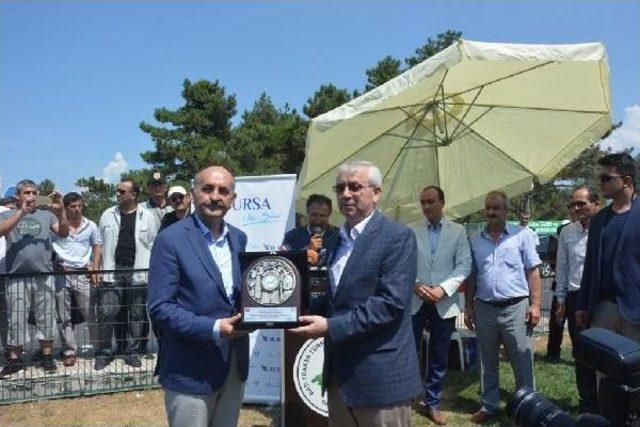 Bakan M&uuml;ezzinoğlu: Bu Millet &Ccedil;apulcuya Pabu&ccedil; Bırakmamıştır 2