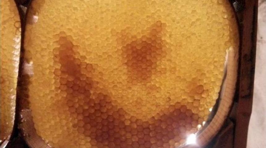 Şiran&rsquo;da Arılar Bal &Ccedil;er&ccedil;evesine Ay Yıldız İşledi