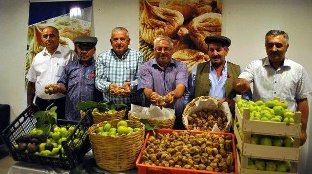 Aydın Ticaret Borsası Sezonun İlk Kuru İncirini Satın Aldı