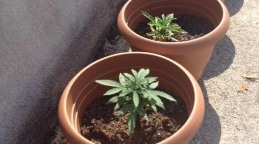 Manavgat Jandarmadan Uyuşturucuya Af Yok