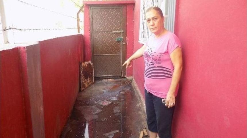 Ailenin Kanalizasyon &Ccedil;ilesi