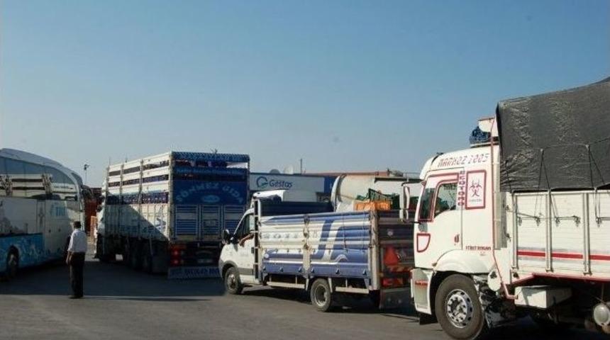 Lapseki’de Feribot Kuyruğu