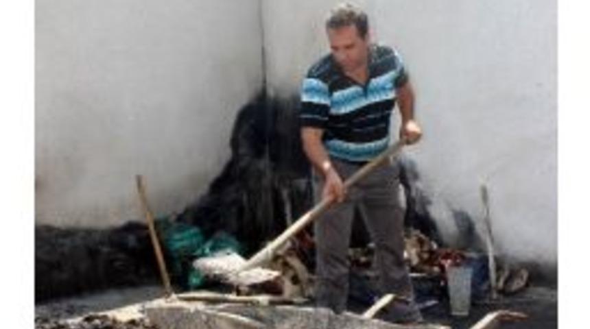 Vali D&uuml;zg&uuml;n, Babanın &Ccedil;ağrısını Karşılıksız Bırakmadı