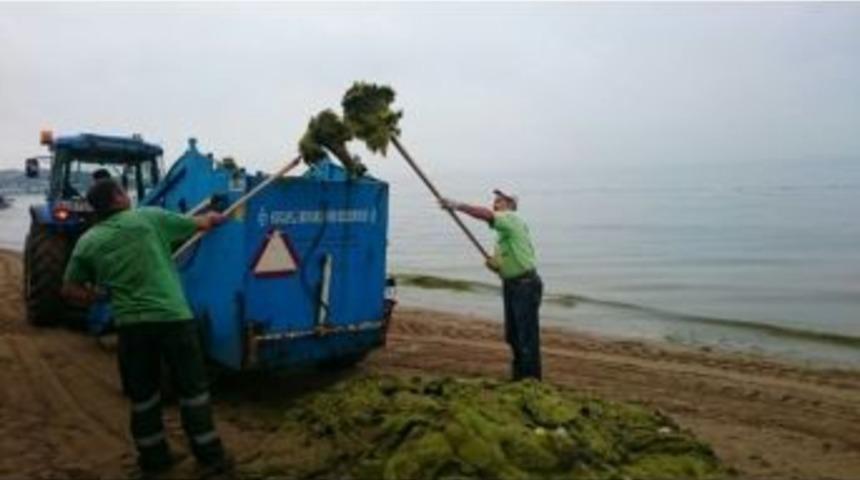 Darıca Bayramoğlu Plajı&rsquo;nda Periyodik Temizlik