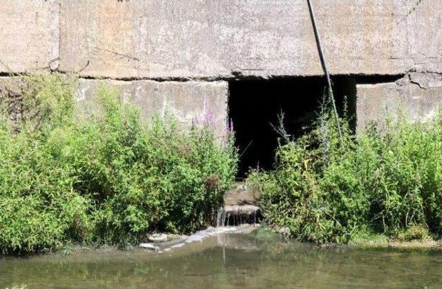 Zonguldak'ta, Üzülmez Deresi'ndeki Kirliliğe Tepki