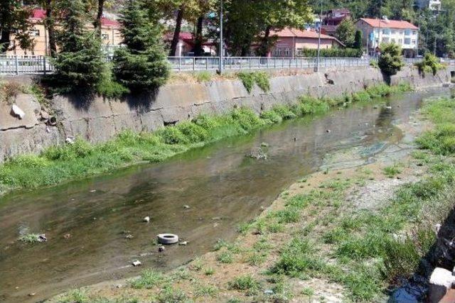 Zonguldak'ta, Üzülmez Deresi'ndeki Kirliliğe Tepki