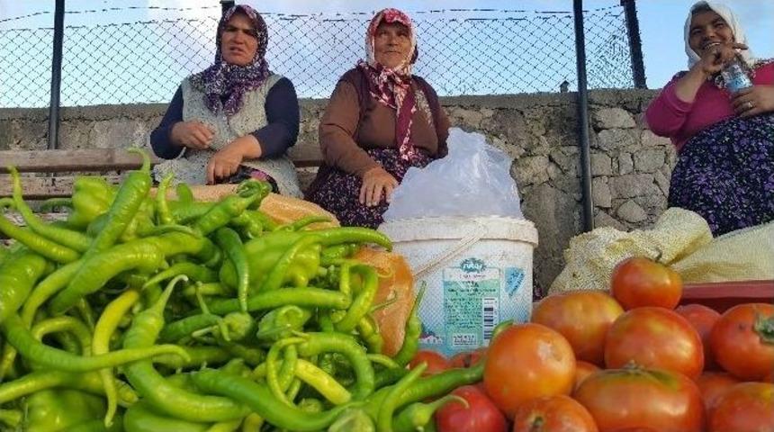 Helvadere&rsquo;nin Kadınları Aile B&uuml;t&ccedil;elerine Katkı Sağlıyor