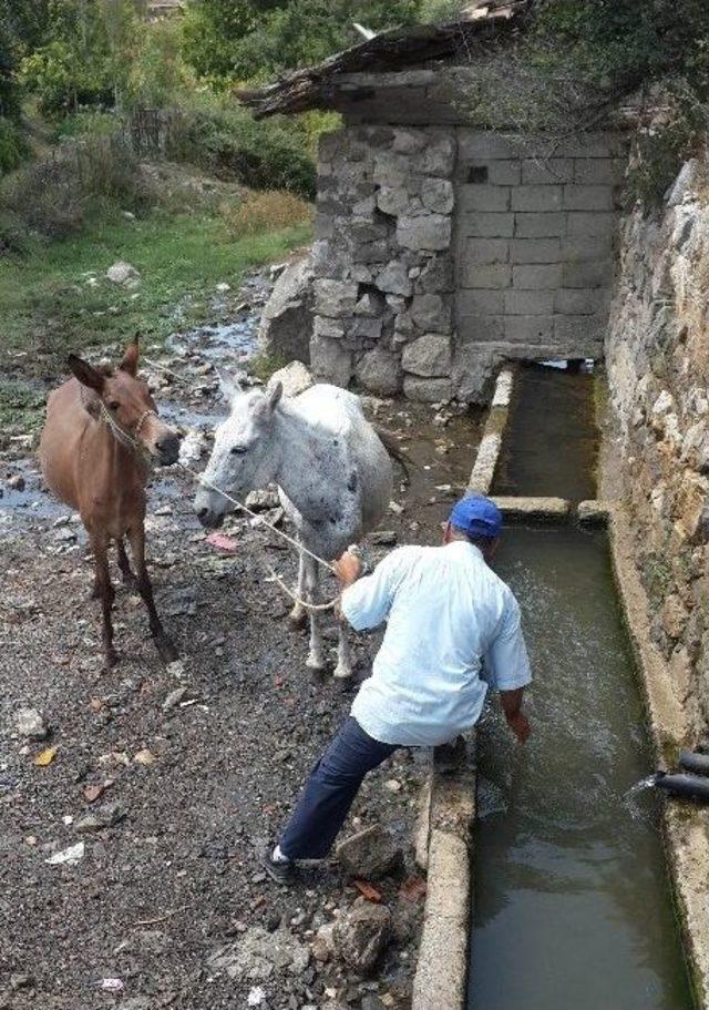 Su Yalağında Çocukların Tehlikeli Serinlemesi