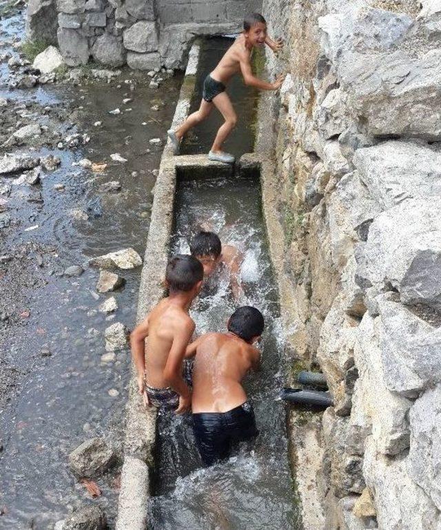 Su Yalağında Çocukların Tehlikeli Serinlemesi