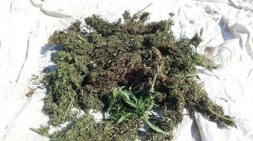 Jandarma Uyuşturucu Tacirlerine G&ouml;z A&ccedil;tırmıyor