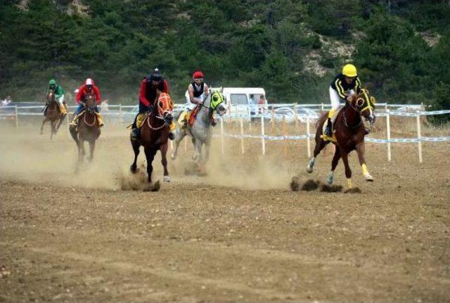 Taşköprü'de At Yarışı Heyecanı