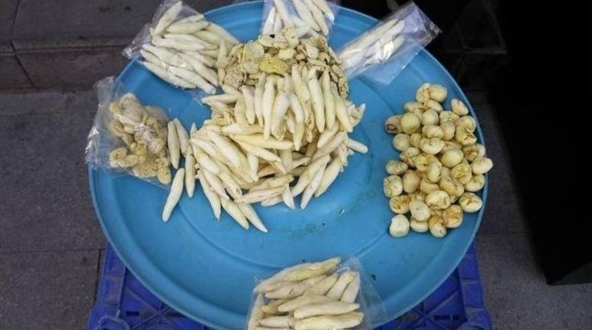 Binbir Derde Deva Kenger Sakızının Kilosu 250 Tl