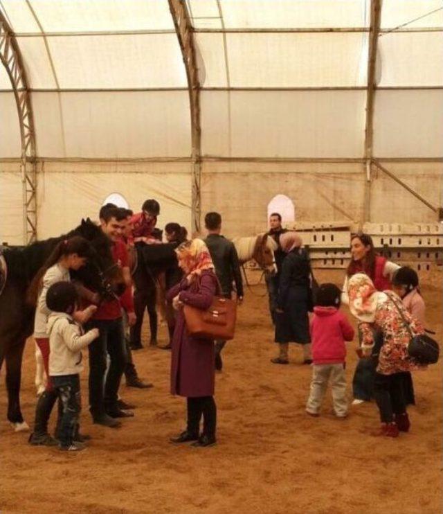 Otistik Çocuklara ’atlı Terapi’ 1