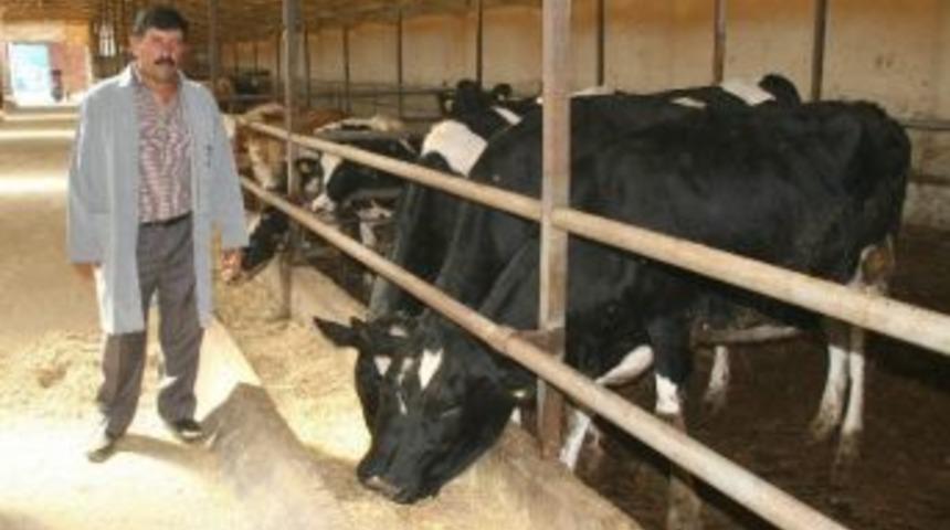 Yozgat Damızlık Hayvan &Uuml;reticiler Birliği Başkanı Selvi: