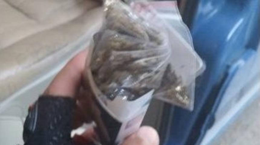 Minib&uuml;ste 21 Paket Bonzai &Ccedil;ıktı