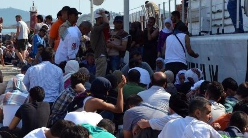 Ayvalık&rsquo;ta 252 Suriyeli Ka&ccedil;ak G&ouml;&ccedil;men Yakalandı