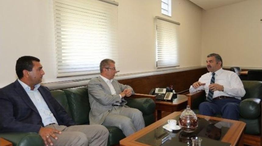 &Ccedil;elik&rsquo;ten Enerjik İnceleme