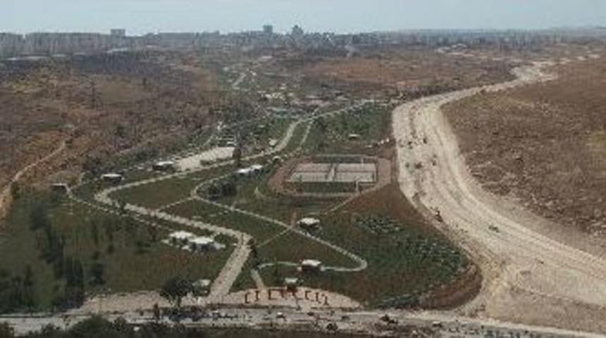 Tahmazoğlu Yeşilvadi Parkı&rsquo;nı İnceledi