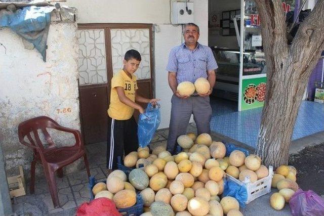 Tezgahları Doğal &Uuml;r&uuml;nler S&uuml;sl&uuml;yor 2